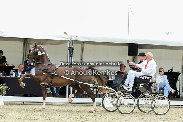 TP Nationaal Ereklasse 