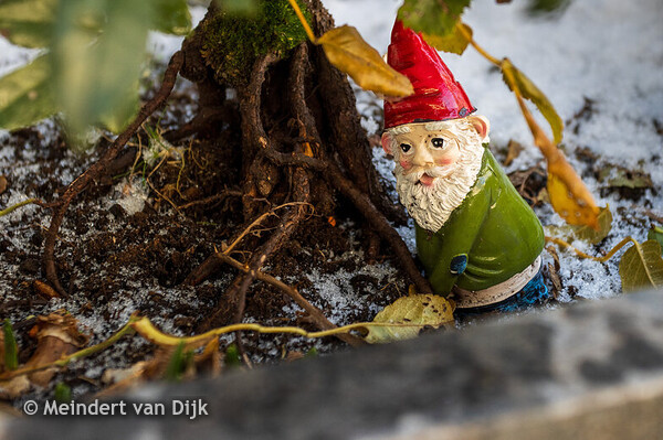 MCL - tuinen bij afdeling Geriatrie