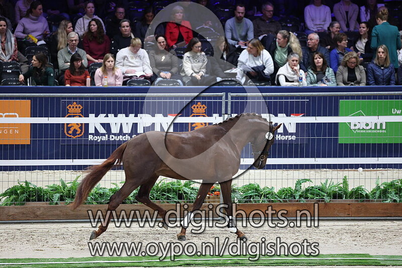 Sunrays Flower v. Las Vegas