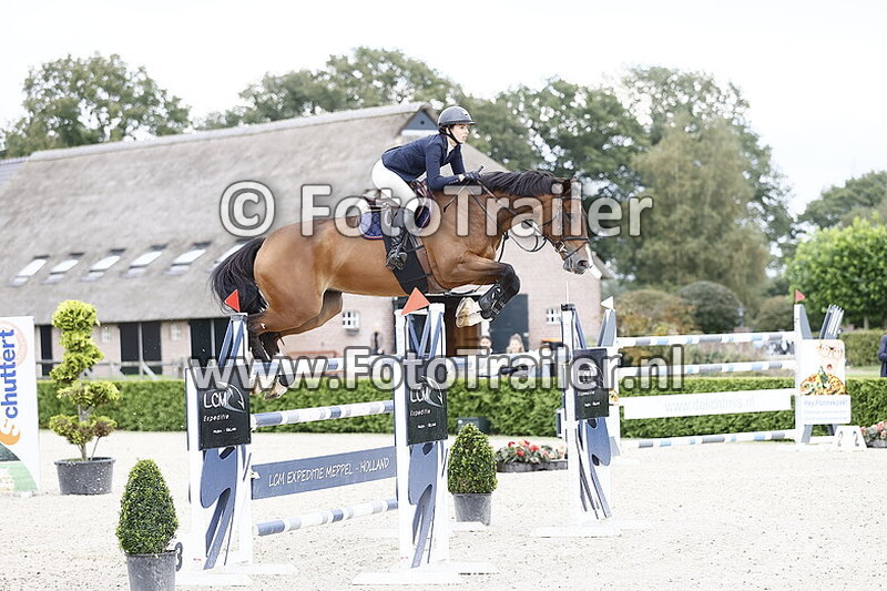 constanca almeida fernandes