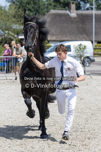 121. Vemke vd Broeklanden