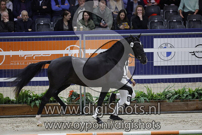 Perfectionist v. Ladignac - 461