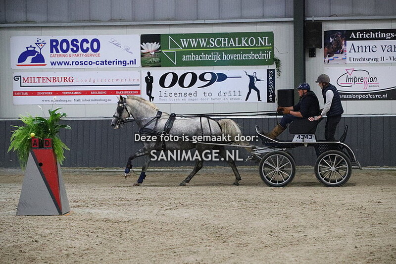 De Voornruiters De Meern Indoor Menmarathon 06-10-2023 Paarden Enkelspan (avond)