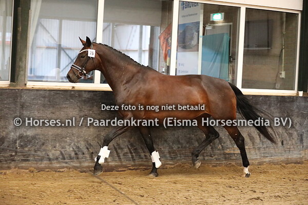 76 Doortje v Zucchero