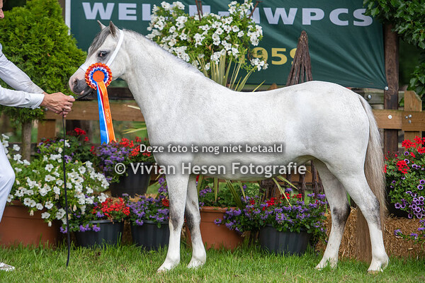 Regionale Keuring Hellendoorn