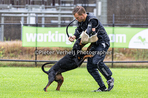 Peter Zwaan met zijn Havana of the Two Roses