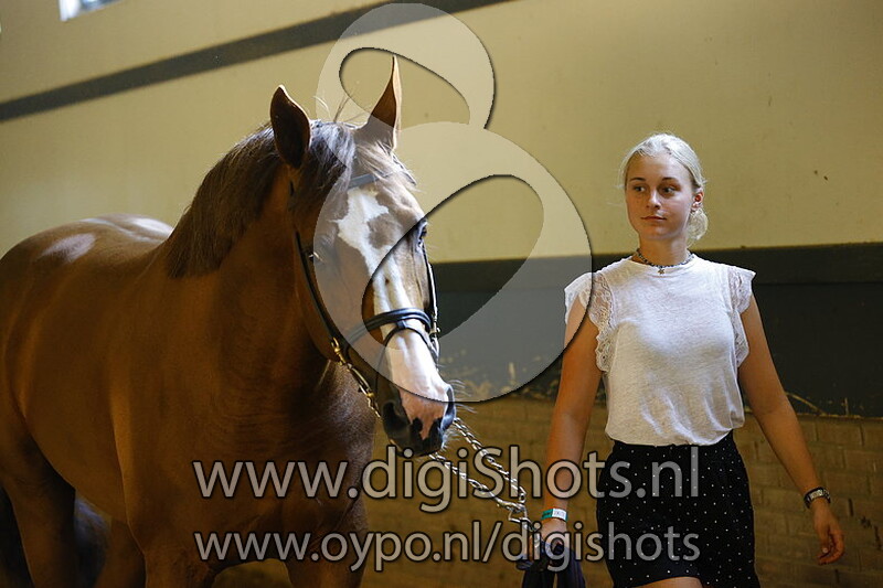 Jugano Van De Vosberg