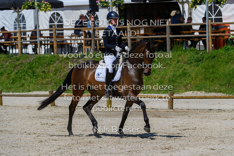 2 Jonge Paarden Dressuur 5 Jarige