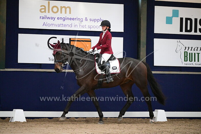 Indie Schniermanni - Orion