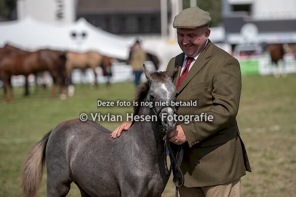 Championships Section B