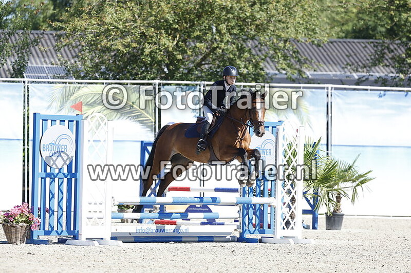 niels van hoogstraten