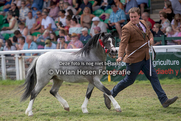 Championship Section A