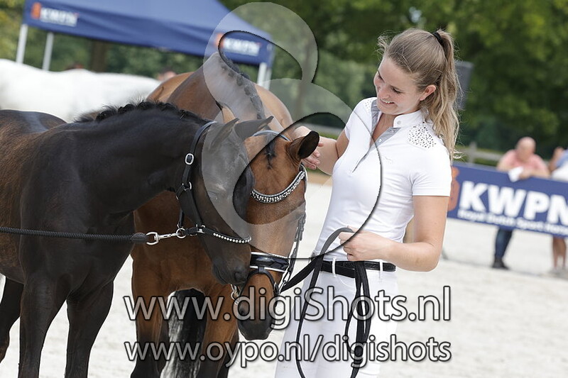 Tomaz H v. Le Formidable