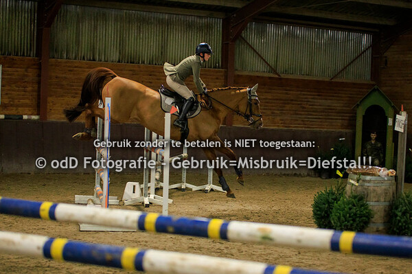 Indoor SGW Springen Paarden L en M 29-12-23