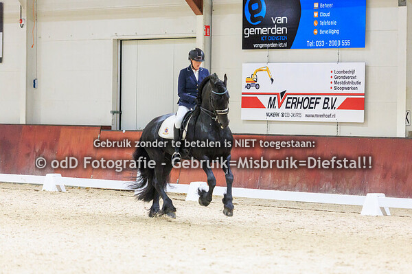 Neuderuiters Dressuur ZZL 29-11-25