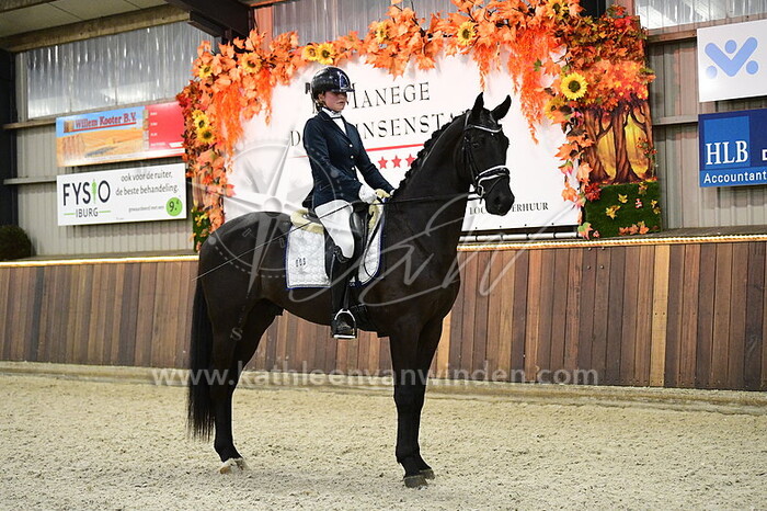 Lily Hoogendoorn - Prozello