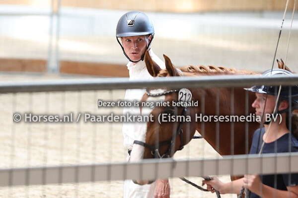 212 Viva la Vida (Tattoo TN x Chita v. tangelo vd Zuuthoeve)