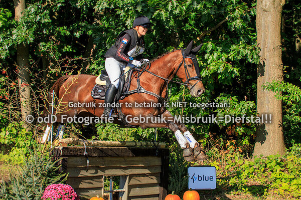 SGW Ysselsteyn Paarden M 05-10-24