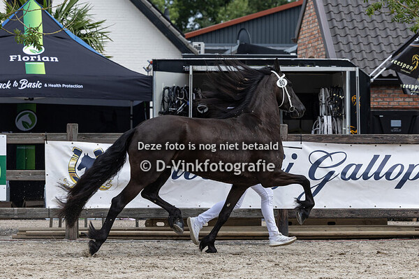 80. Vorstin A van de Heemstede