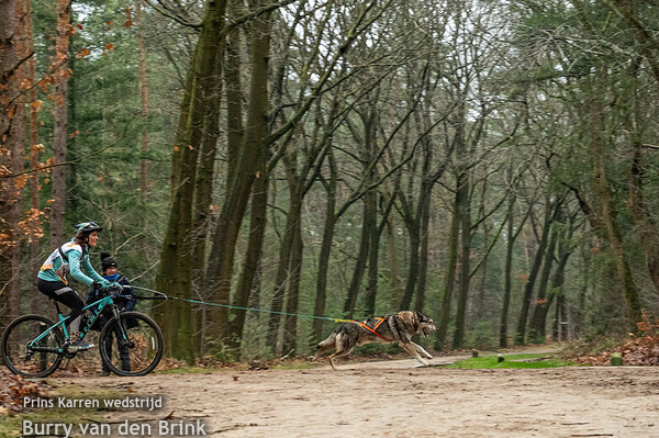 Prins Karrenwedstrijd 2024