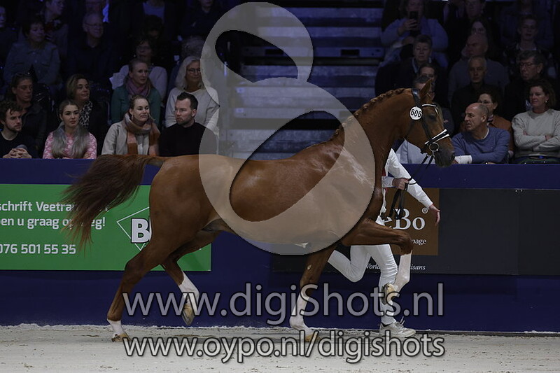 Repelsteeltje v. Jupiler S - 606