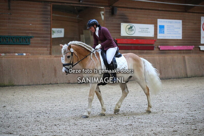 PV Midland Dressuur 23-11-2024 13.00 uur