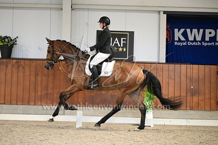 Michelle Trautig - Salut ter Kwincke