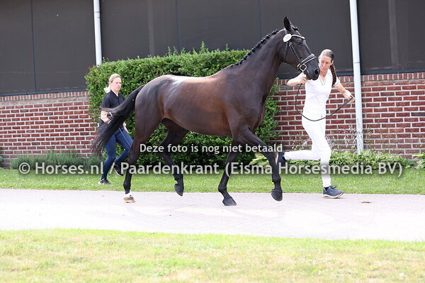 30 Kendall Platium (Ferguson x Wanny v. Kennedy)