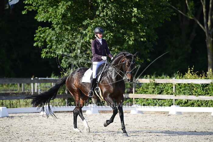 Marjolein Takke - Venice