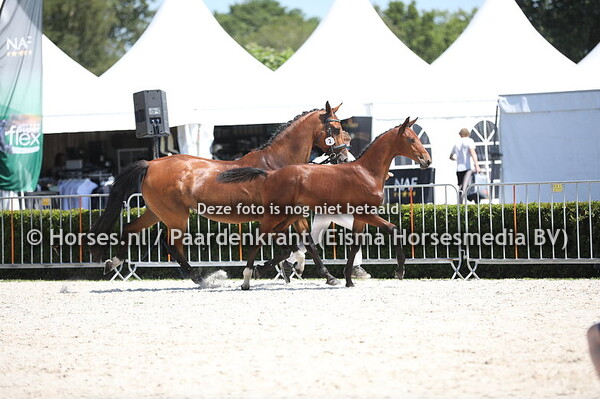 2 Orlando D (Hernandez x Casandra v. Casantos) (1)