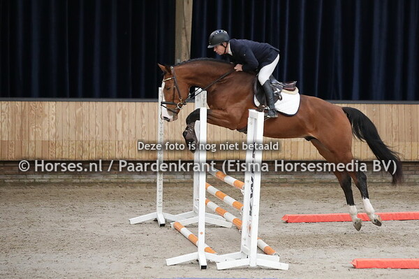 143 Nautulus (Jamboree x Harley VDL)