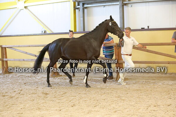 15 Schatrijke (Livius x Vodarijke v. Metall)