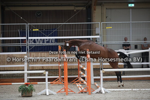 273 Maraschino (Hernandez x O-Ditsy v. Karlstad)