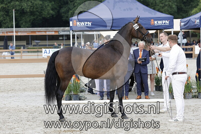 Pippa Dodessa van Heemstate v. Ferdinand