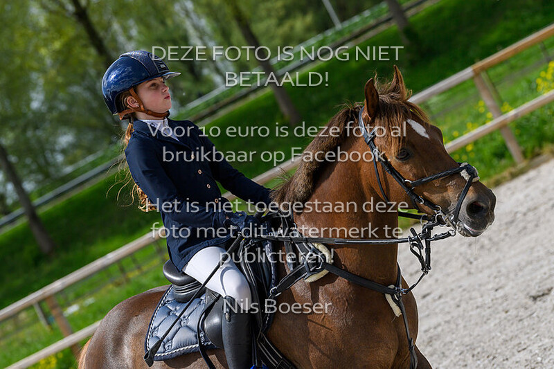 4 ponies klasse 100-110cm