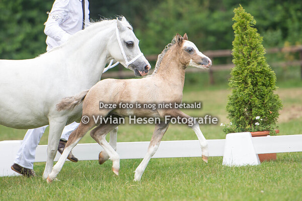 Regionale Keuring Hellendoorn