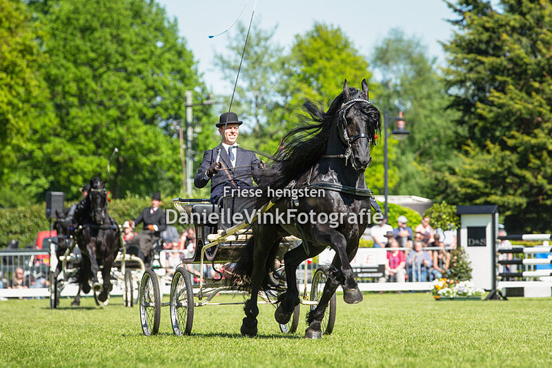 CH Lunteren tuigpaarden 05-05-2018 Wylster 463