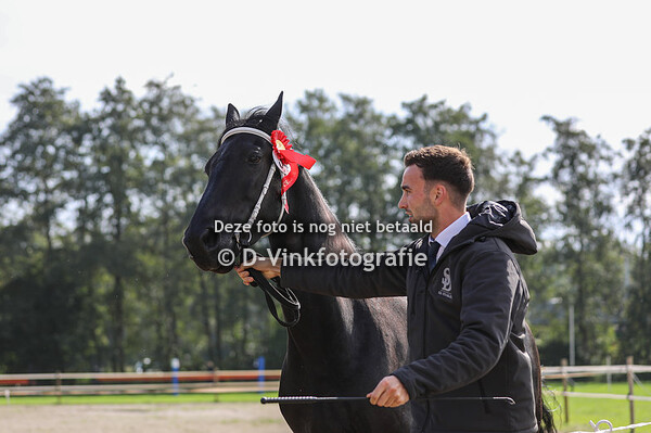 34. Noortje van Koningsland