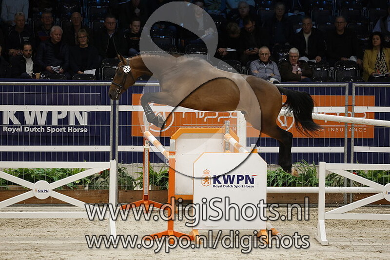 NN v. United Touch S - 151