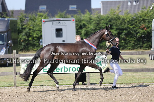 65 Odoraline vd Watermolen