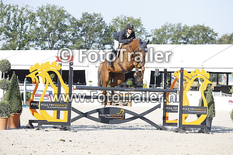 Marlon Modolo Zanotelli