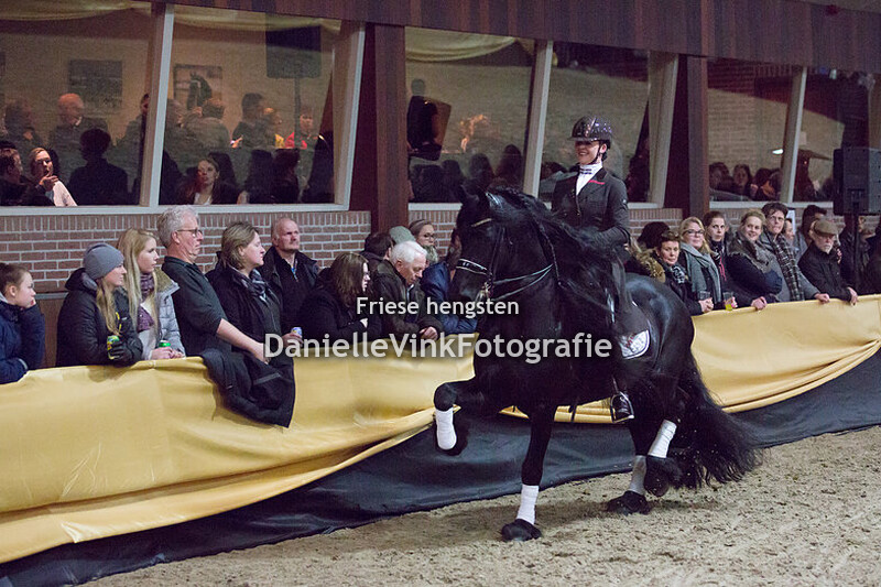Hengstenshow Lunteren 24-02-2018 - Wytse 462