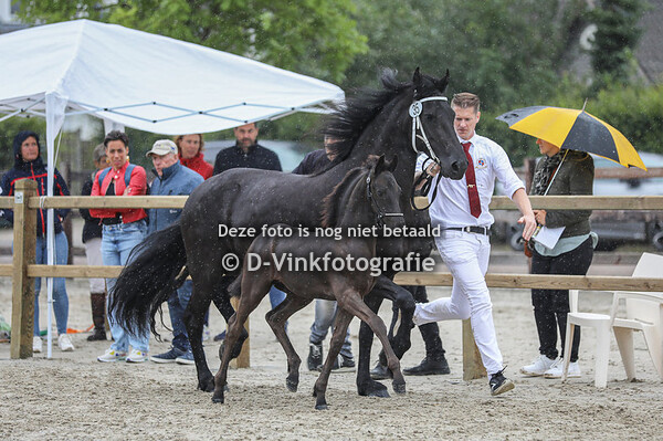35. Xena van de Meikade
