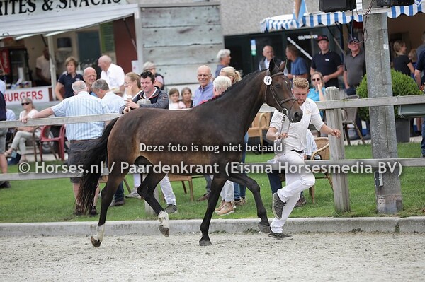 64 Julia (Namelus x Bandour v. Lupicor)