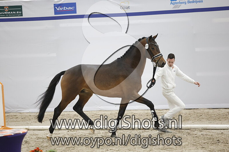 Private Dancer v. Le Formidable - 477