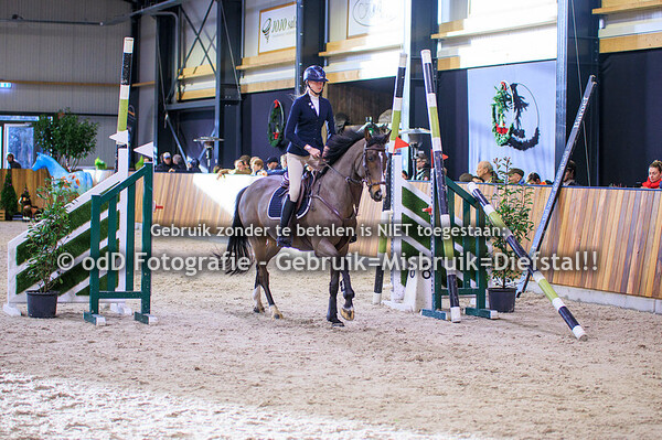 Jumping Indoor Leunen Paarden 120cm 06-01-23