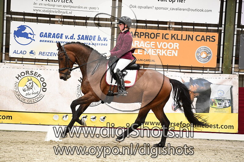 Sharon van Dijk - Nigel