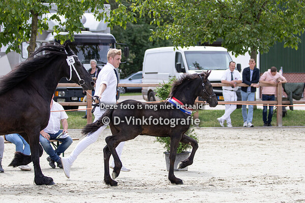 12. Annabelle fan Preiss