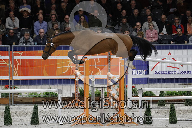 Meilleur Tarpania 46