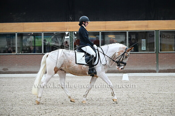 Filipina Rogalska - Bodine